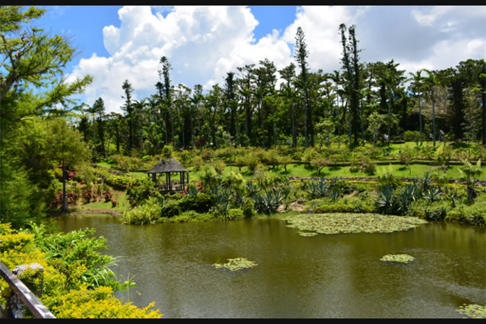 東南植物楽園